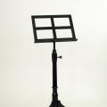 View the image: Einstein's Music Stand